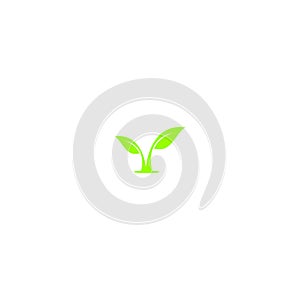 Leaf green logo design