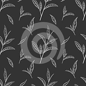 Leaf green tea pattern seamless, vector illustration. Leaves tea tree on black background. Hand drawn sketch in vintage