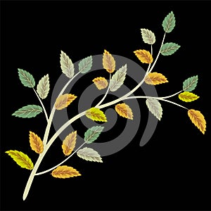 Leaf green tree vector illustration