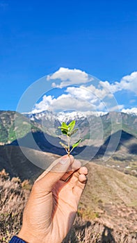 Leaf in Hand on a beautiful landscape. SMARTPHONE PHOTOGRAPHY