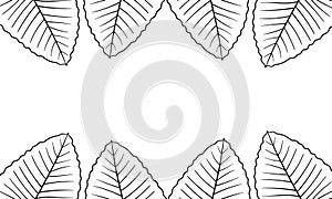 leaf hand drawn background with nature theme4