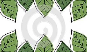 leaf hand drawn illustration background