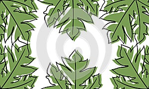 leaf hand drawn illustration background2