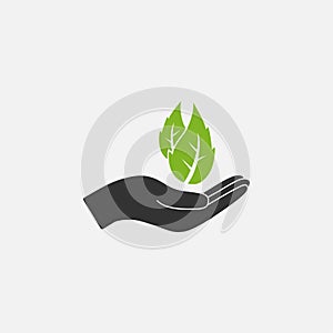 Leaf in hand icon. Vector illustration, flat design
