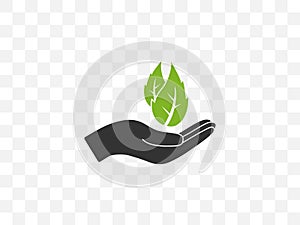 Leaf, hand icon. Vector illustration, flat design