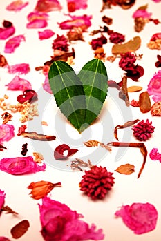 Leaf Heart