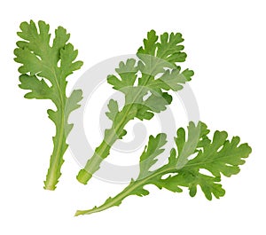 A leaf herb commonly