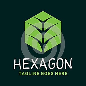 Leaf Hexagon Logo Design Inspiration For Business And Company