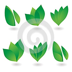 Leaf icon