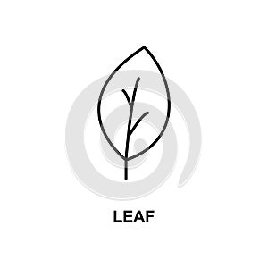 leaf icon. Element of simple web icon with name for mobile concept and web apps. Thin line leaf icon can be used for web and