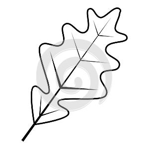 Leaf icon, outline style