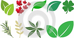 Leaf icon set collection