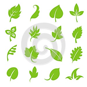 Leaf icon set. Fresh green leaves various shapes on white background