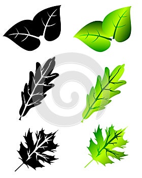 Leaf icon set