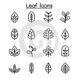 Leaf icon set in thin line style