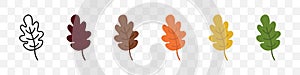 Leaf icon set. Vector isolated illustration. Autumn falling leaves