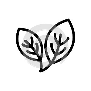 Leafvector thin line icon