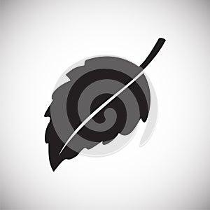 Leaf icon on white background for graphic and web design, Modern simple vector sign. Internet concept. Trendy symbol for website photo