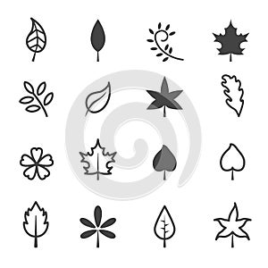 Leaf icons