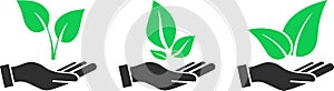 Leaf icons on the palm of your hand as an environmental conservation concept