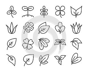 Leaf icons. Plant leaves line icon set. Vector illustration. Editable stroke.
