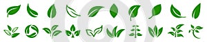 Leaf icons set ecology nature element, green leafs, environment and nature eco sign. Leaves on white background â€“ vector