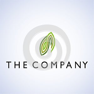 Leaf ideas design illustration graphic