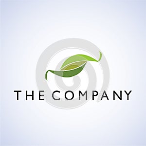 Leaf ideas design illustration graphic