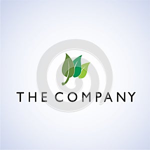 Leaf ideas design illustration graphic