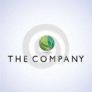 Leaf ideas design illustration graphic