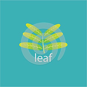 Leaf ideas design illustration graphic background