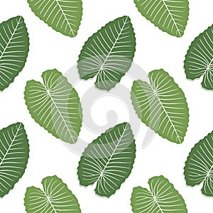 leaf illustration seamless pattern edit