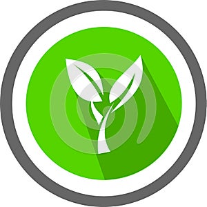 Leaf image logo and template