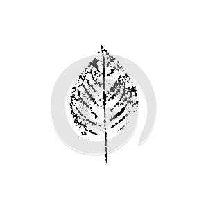 Vector leaf imprint