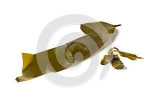 Leaf of Japanese kombu soaked seaweed