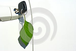 Leaf key ring on environmentally friendly car