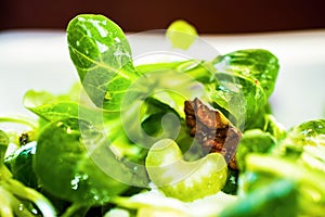 Leaf of lambÂ´s lettuce
