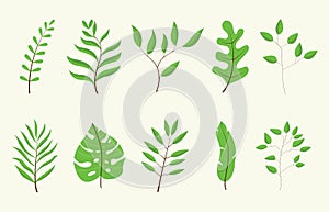 Leaf or leaves green tree set collection with white color vector