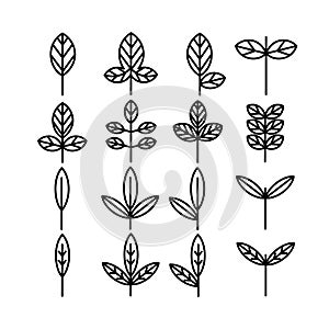 Leaf and leaves icon collection vol. 2 line thin