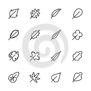 Leaf line icon collection set. Editable stroke vector, isolated at white background