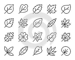 Leaf line icon set, autumn foliage simple sign, maple, oak, clover, birch leaves