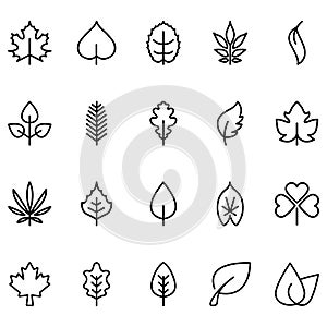 Leaf line icon set. Fertility and growth symbol,