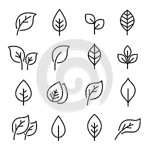Leaf line icon set