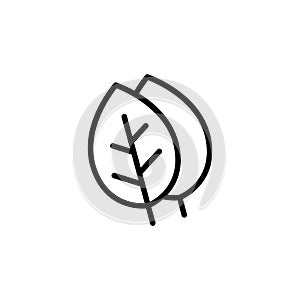 Leaf line icon vector design