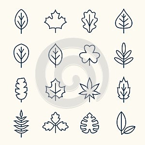 Leaf line icons