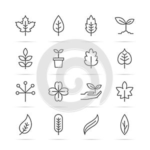 Leaf line icons