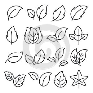 Leaf line icons set on white background