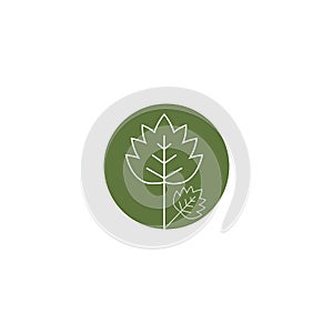 Leaf line icons vector leaves logo design