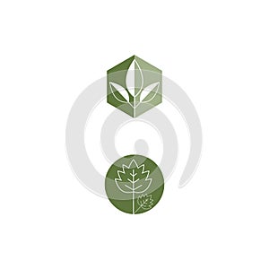 Leaf line icons vector leaves logo design