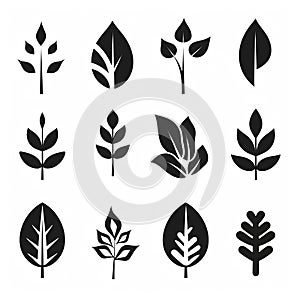 Leaf line icons, vector leaves logo design